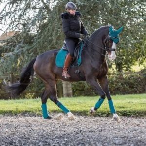 Polo Wraps for Horses!